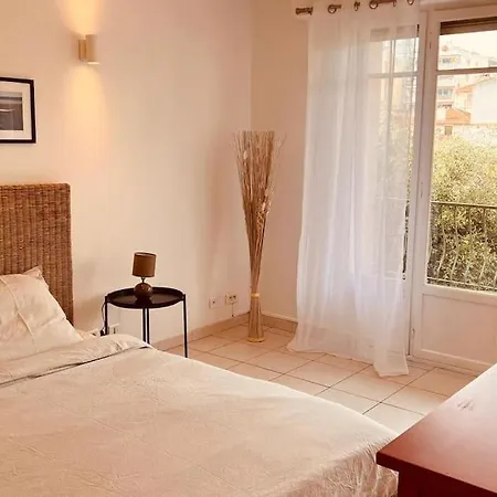 Spacious Close To Cannes Center Apartment